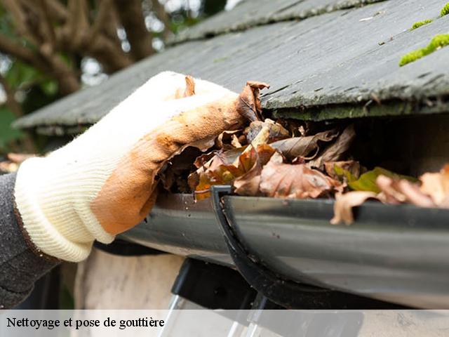 Nettoyage et pose de gouttière