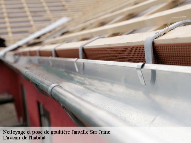 Nettoyage et pose de gouttière  janville-sur-juine-91510 L'avenir de l'habitat 