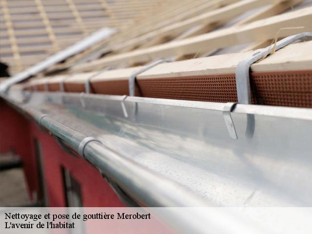 Nettoyage et pose de gouttière merobert-91780 L'avenir de l'habitat