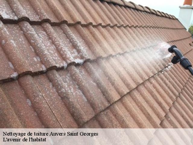 Nettoyage de toiture  auvers-saint-georges-91580 L'avenir de l'habitat 
