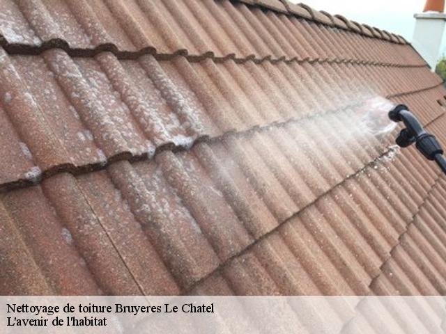 Nettoyage de toiture  bruyeres-le-chatel-91680 L'avenir de l'habitat 