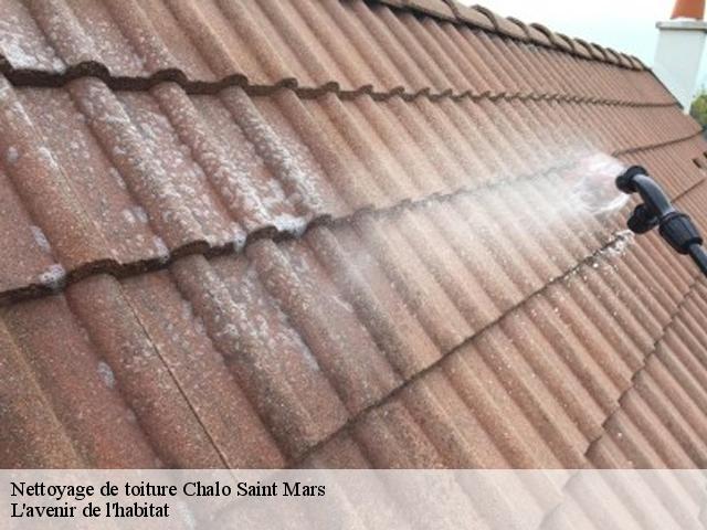 Nettoyage de toiture  chalo-saint-mars-91780 L'avenir de l'habitat 