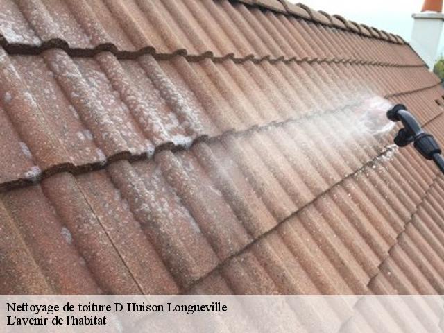 Nettoyage de toiture d-huison-longueville-91590 Dumortier nettoyage