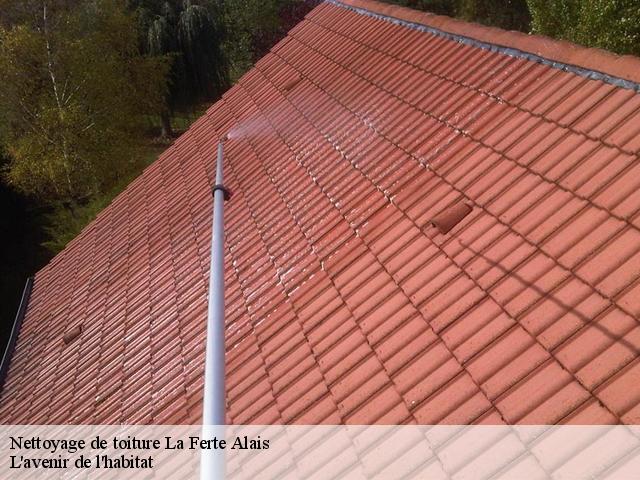 Nettoyage de toiture à La Ferte Alais 91590 tél :01.85.53.42.03