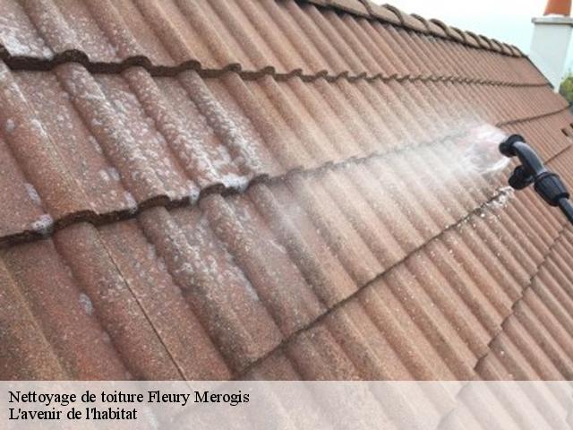 Nettoyage de toiture  fleury-merogis-91700 L'avenir de l'habitat 