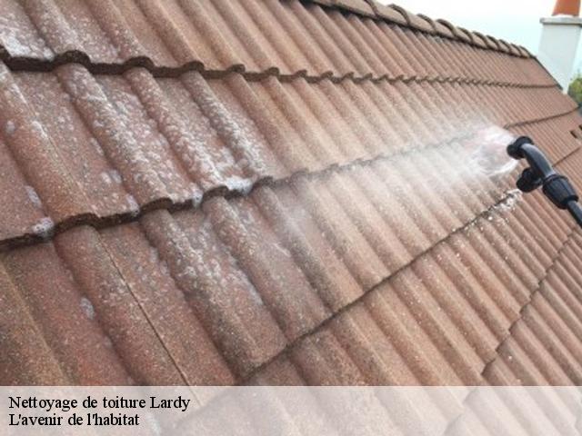 Nettoyage de toiture  lardy-91510 L'avenir de l'habitat 