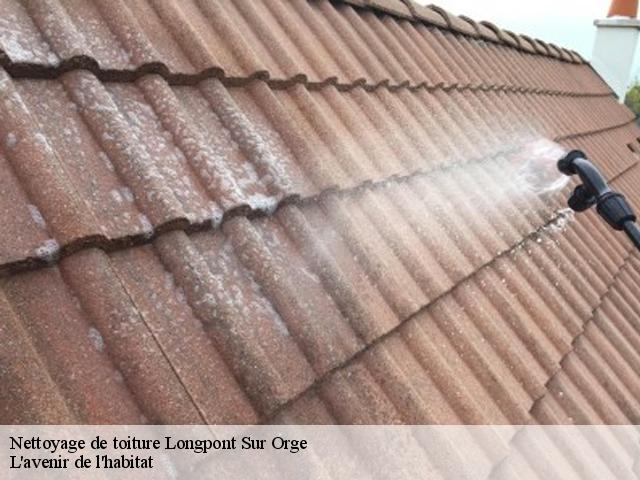 Nettoyage de toiture longpont-sur-orge-91310 Dumortier nettoyage