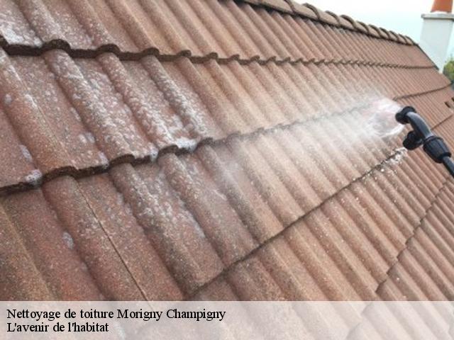 Nettoyage de toiture  morigny-champigny-91150 L'avenir de l'habitat 