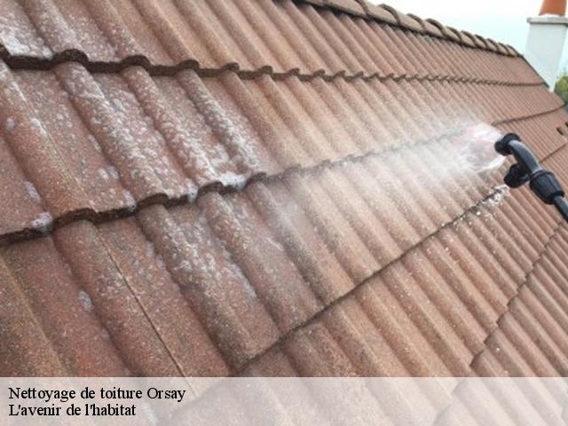 Nettoyage de toiture  orsay-91400 L'avenir de l'habitat 