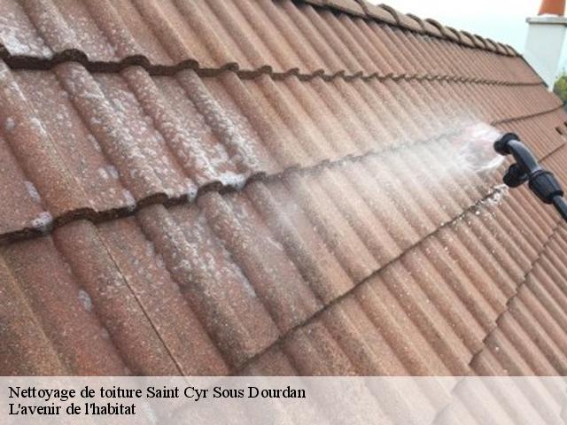 Nettoyage de toiture  saint-cyr-sous-dourdan-91410 L'avenir de l'habitat 