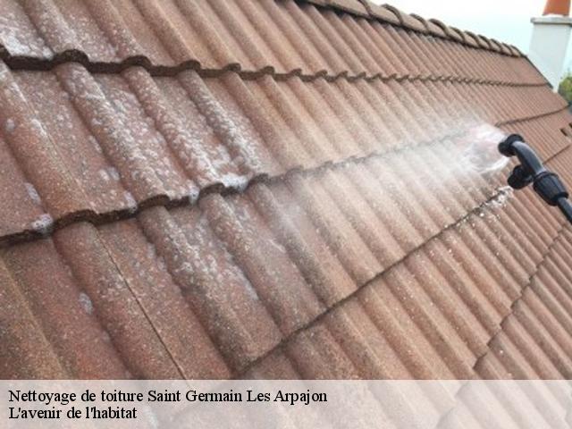 Nettoyage de toiture  saint-germain-les-arpajon-91180 L'avenir de l'habitat 