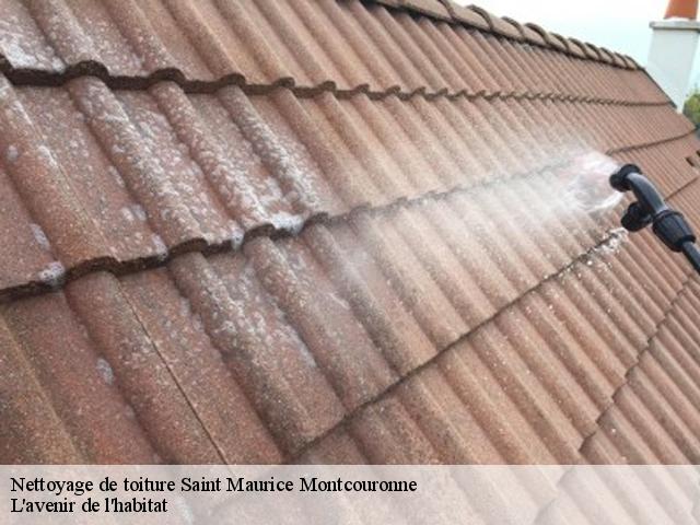 Nettoyage de toiture  saint-maurice-montcouronne-91530 L'avenir de l'habitat 