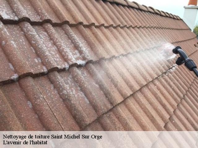 Nettoyage de toiture saint-michel-sur-orge-91240 Alexis Bogey Nettoyage 91