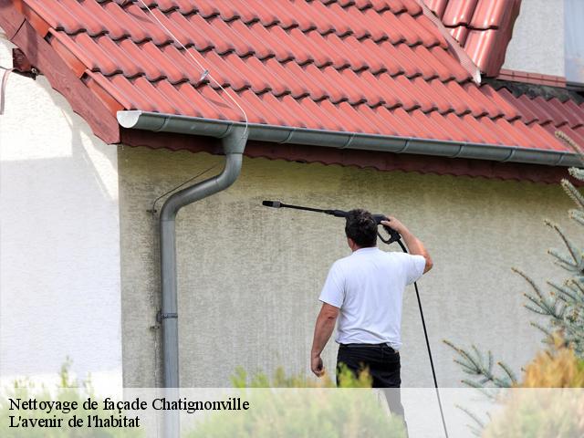 Nettoyage de façade  chatignonville-91410 L'avenir de l'habitat 