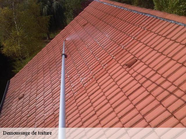 Demoussage de toiture  91200