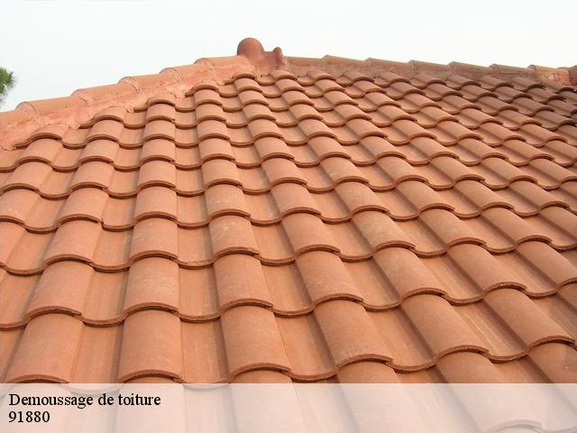 Demoussage de toiture 91880