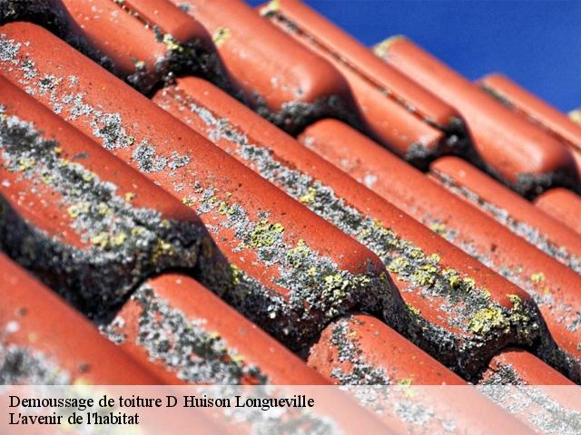 Demoussage de toiture  d-huison-longueville-91590 L'avenir de l'habitat 