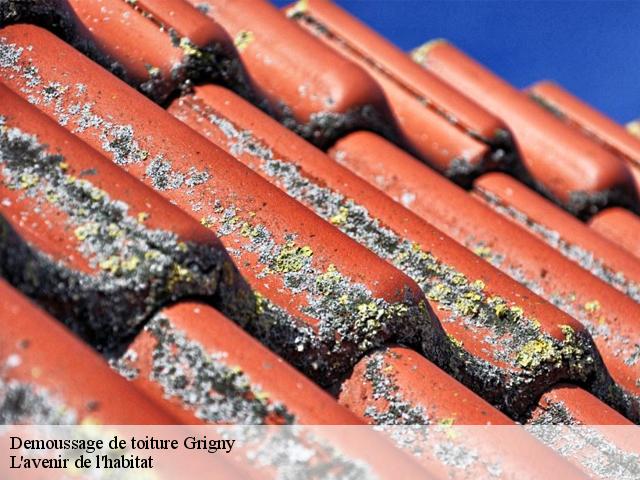 Demoussage de toiture  grigny-91350 Alexis Bogey Nettoyage 91