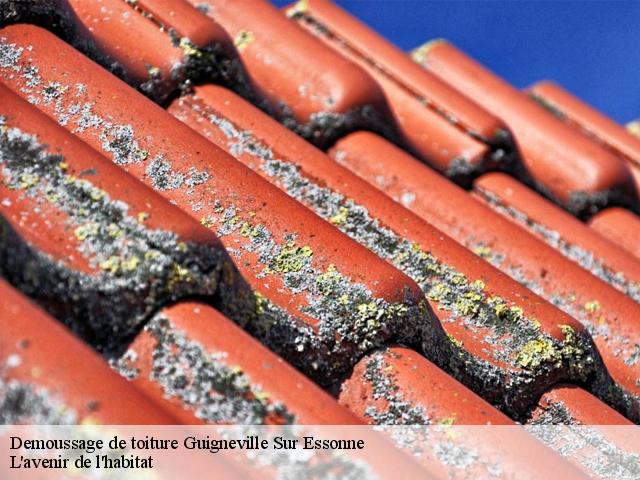 Demoussage de toiture guigneville-sur-essonne-91590 Dumortier nettoyage