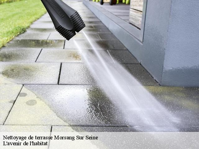 Nettoyage de terrasse  morsang-sur-seine-91250 L'avenir de l'habitat 