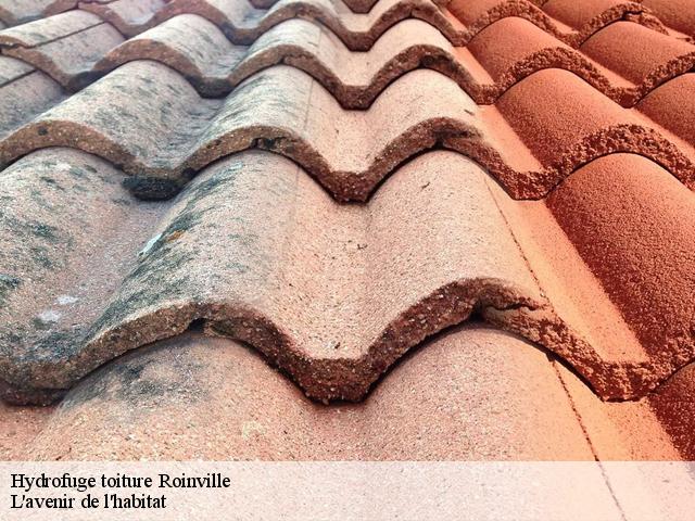 Hydrofuge toiture  roinville-91410 L'avenir de l'habitat 