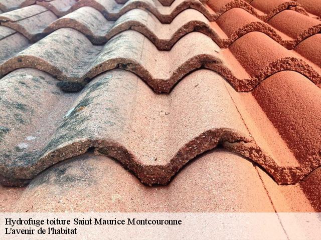 Hydrofuge toiture  saint-maurice-montcouronne-91530 L'avenir de l'habitat 