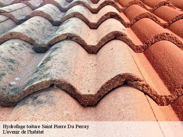 Hydrofuge toiture  saint-pierre-du-perray-91280 L'avenir de l'habitat 
