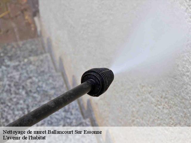 Nettoyage de muret ballancourt-sur-essonne-91610 L'avenir de l'habitat