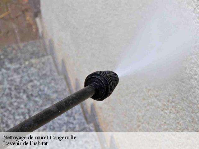 Nettoyage de muret congerville-91740 L'avenir de l'habitat