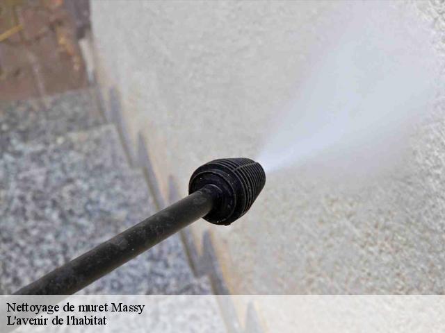 Nettoyage de muret massy-91300 L'avenir de l'habitat