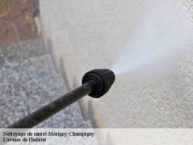 Nettoyage de muret  morigny-champigny-91150 L'avenir de l'habitat 