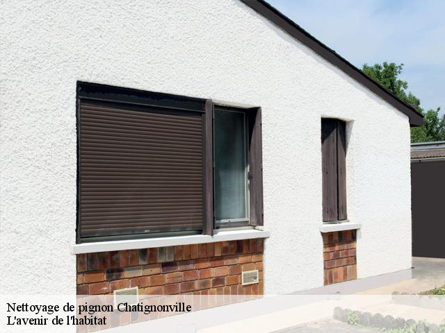 Nettoyage de pignon  chatignonville-91410 L'avenir de l'habitat 